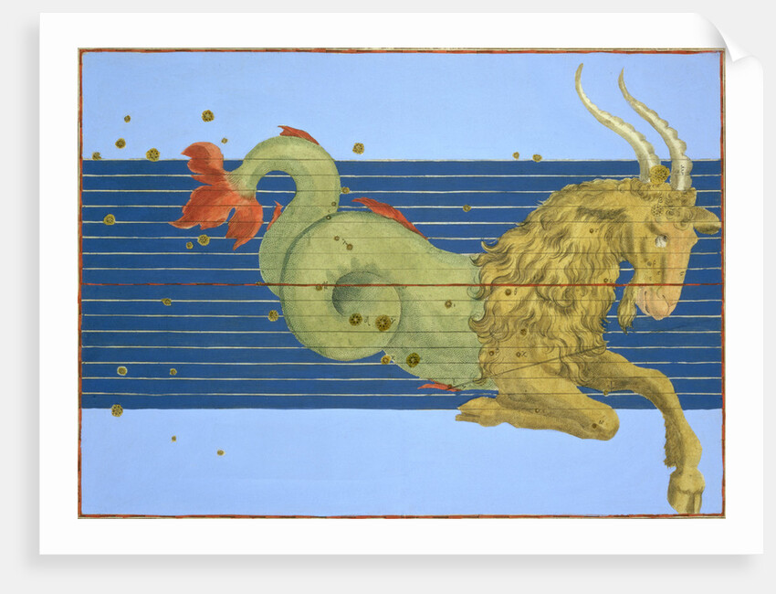 Constellation of Capricorn by Alexander Mair