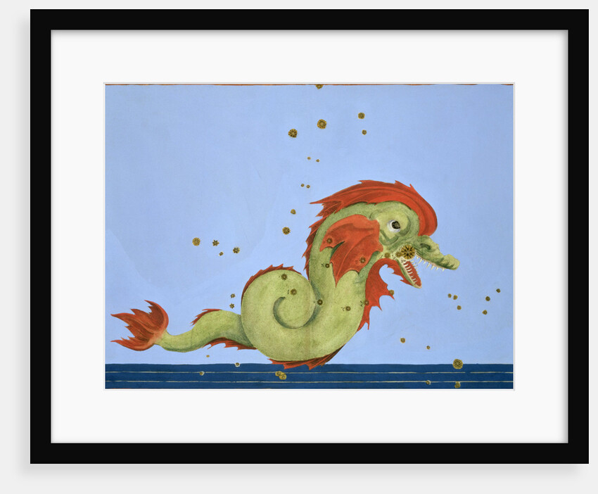 Constellation of Pisces by Alexander Mair