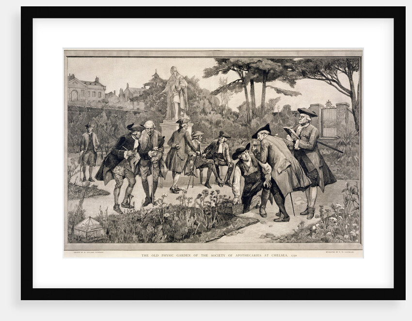 The Old Physic Garden of the Society of Apothecaries at Chelsea by Thomas W Lascelles