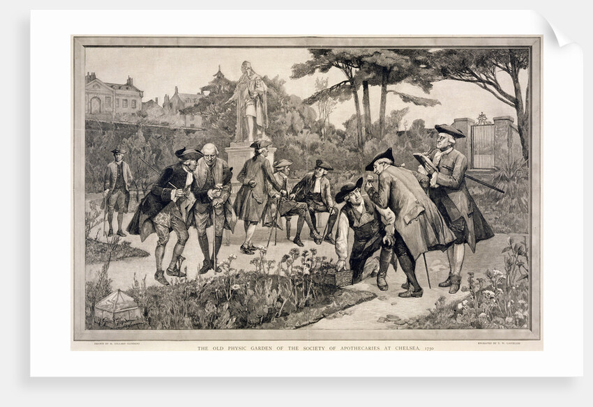 The Old Physic Garden of the Society of Apothecaries at Chelsea by Thomas W Lascelles