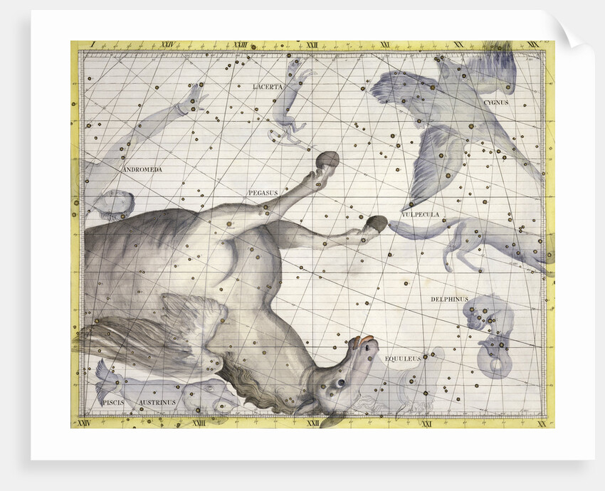 Constellation of Pegasus by Anonymous