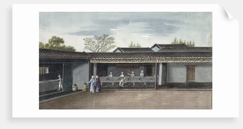 Drying tea leaves by Anonymous