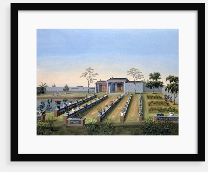 Nursery garden by Anonymous
