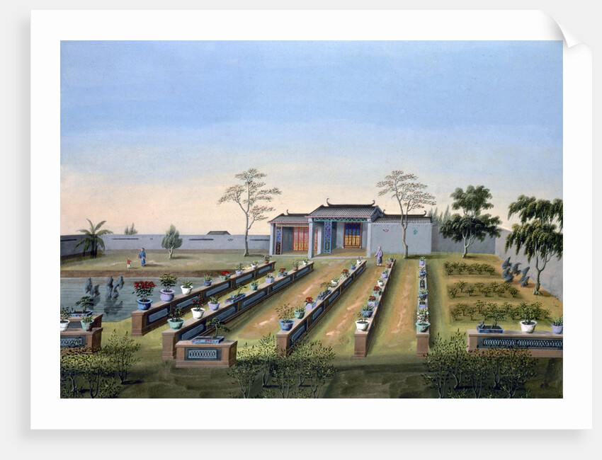 Nursery garden by Anonymous