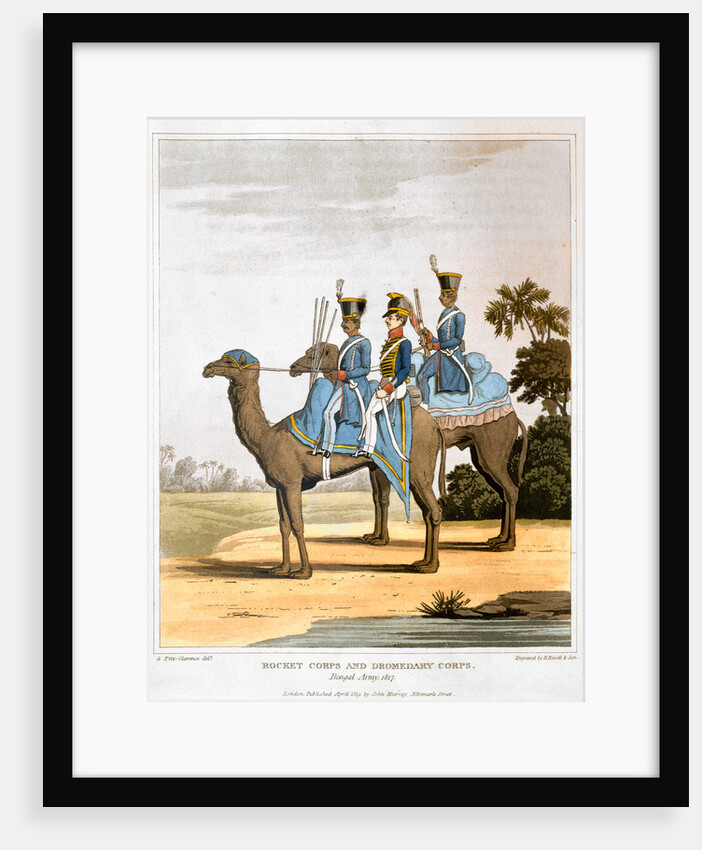 Rocket Corps and Dromedary Corps by Havell & Son