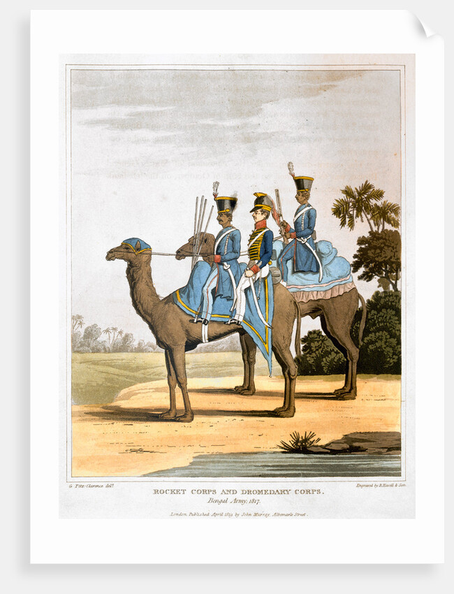 Rocket Corps and Dromedary Corps by Havell & Son