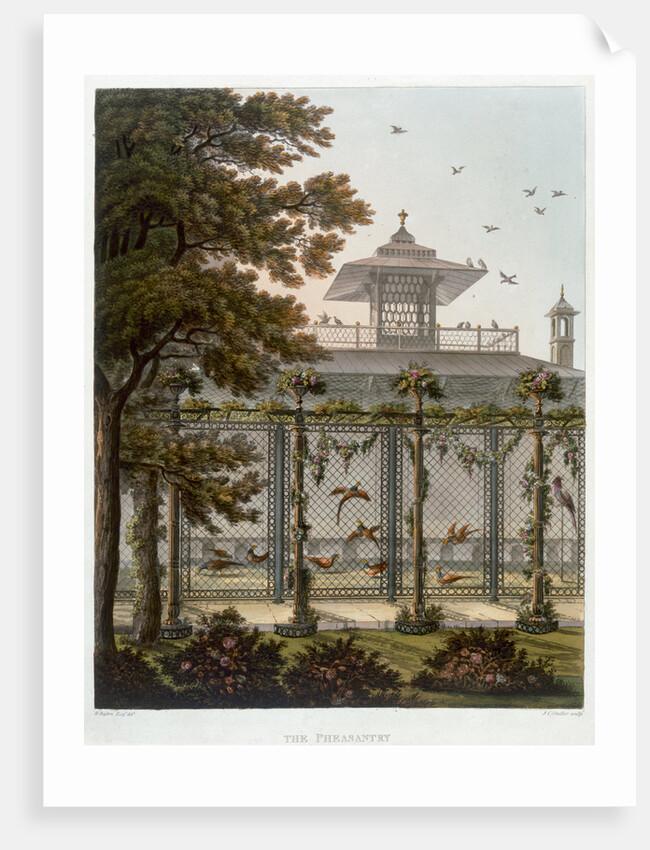 The Pheasantry by Joseph Constantine Stadler