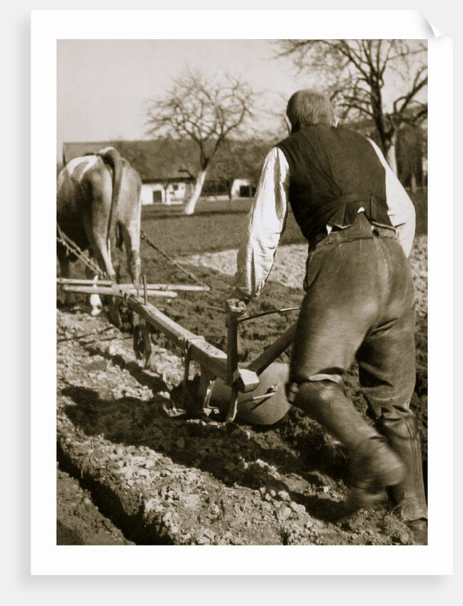 A farmer at work, ploughing a field by Anonymous