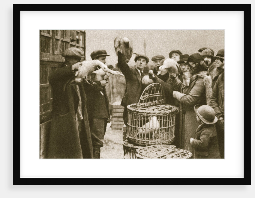 Buying live poultry at a 'Pedlars' Market' at the Caledonian Market by Anonymous