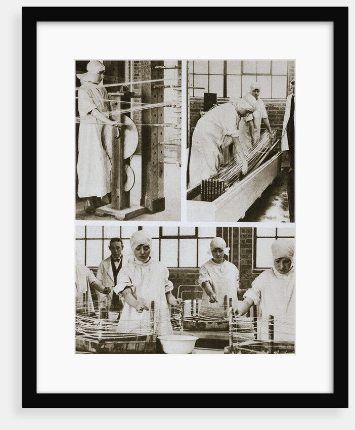 Preparing cat gut at the London Hospital's own factory by Anonymous