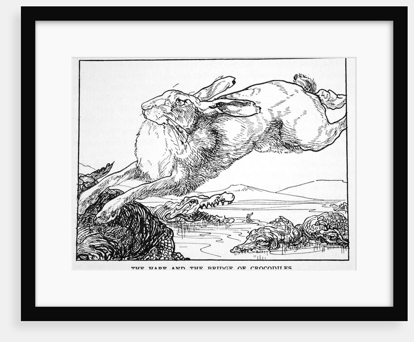 The Hare and the Bridge of Crocodiles by Anonymous