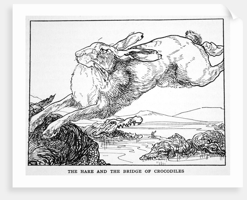 The Hare and the Bridge of Crocodiles by Anonymous