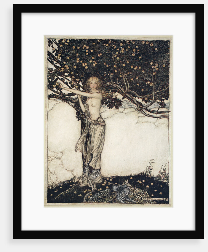 Freia, the fair one by Arthur Rackham