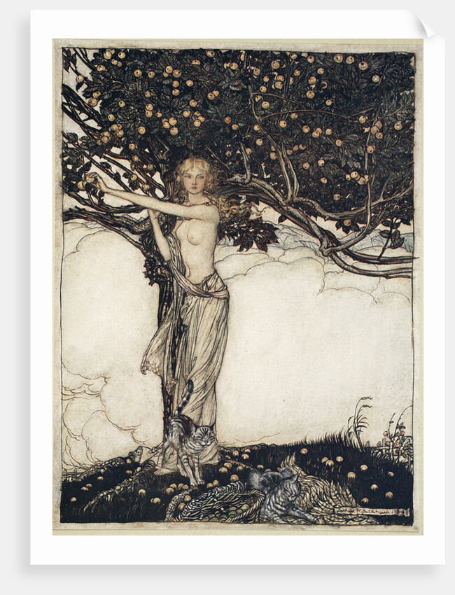 Freia, the fair one by Arthur Rackham