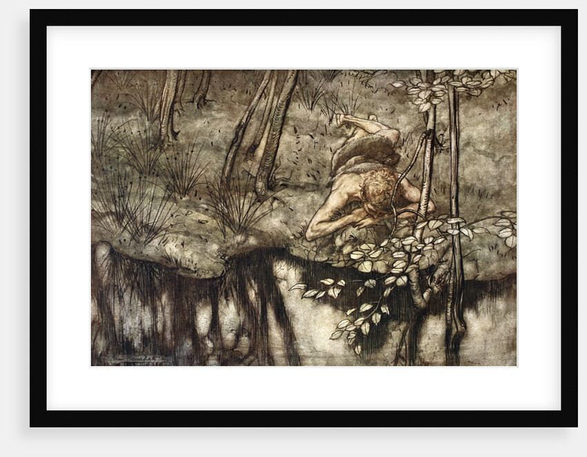 Siegfried sees himself in the stream by Arthur Rackham