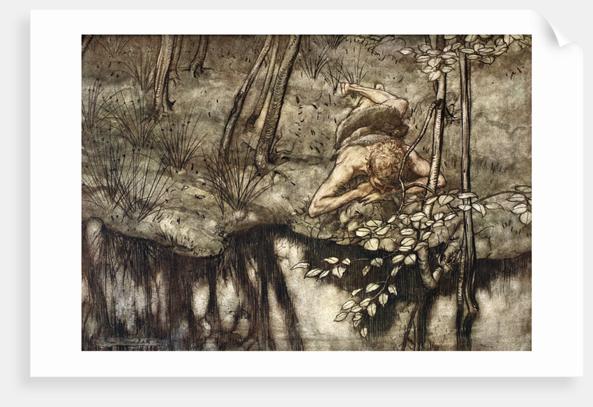 Siegfried sees himself in the stream by Arthur Rackham