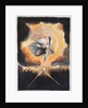 The Ancient of Days by William Blake