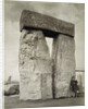 A shepherd posing at Stonehenge on Salisbury Plain by Anonymous