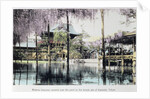 Wisteria blossom over the pond in the Kameido Temple Gardens by Anonymous