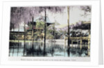 Wisteria blossom over the pond in the Kameido Temple Gardens by Anonymous