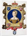 Katherine Parr, sixth wife and Queen of Henry VIII by Sarah