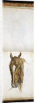 Horse's Head by Edwin Henry Landseer