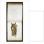 Horse's Head by Edwin Henry Landseer