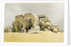 Ruins of the Temple of Kom Ombo by David Roberts