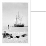 The 'Fram' in the Bay of Whales, Antarctica by Anonymous