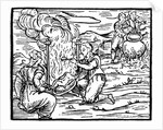 Witches roasting and boiling infants by Anonymous