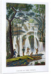 Waterfall of Port Praslin by Anonymous