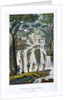 Waterfall of Port Praslin by Anonymous