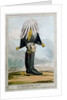 A Wellington Boot- or the Head of the Armye by Anonymous