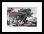 The Culture and Preparation of Tea by Thomas Allom