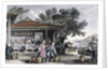 The Culture and Preparation of Tea by Thomas Allom