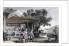 The Culture and Preparation of Tea by Thomas Allom