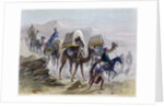 The Camel Train by Rouargue Brothers