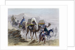 The Camel Train by Rouargue Brothers