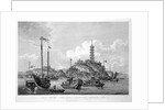 View of the Tchin Shan, or Golden Island, in the Yang-tse Kiang, or Great River of China by Wilson