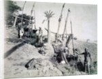 Shadufs in Upper Egypt by G Lekegian