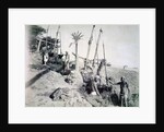 Shadufs in Upper Egypt by G Lekegian