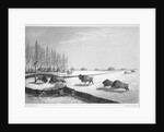 A buffalo pound by Edward Finden