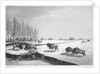 A buffalo pound by Edward Finden