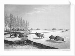 A buffalo pound by Edward Finden
