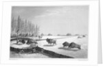 A buffalo pound by Edward Finden