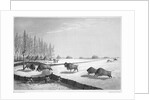A buffalo pound by Edward Finden