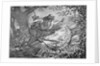 Oberon and Titania by Anonymous