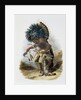 Pehriska-Ruhpa, Minatarre Warrior in the Costume of the Dog Dance by Rene Rollet