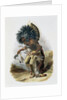 Pehriska-Ruhpa, Minatarre Warrior in the Costume of the Dog Dance by Rene Rollet