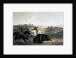 Indians Hunting the Bison by Carl Vogel